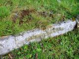 image of grave number 292439